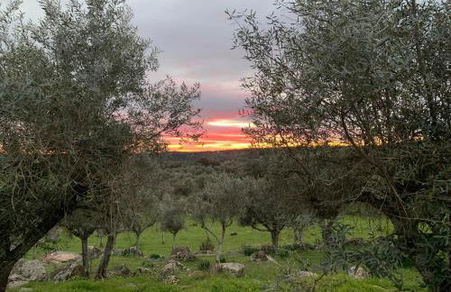 Casa 1-Quinta dos Penedos - Foto 41