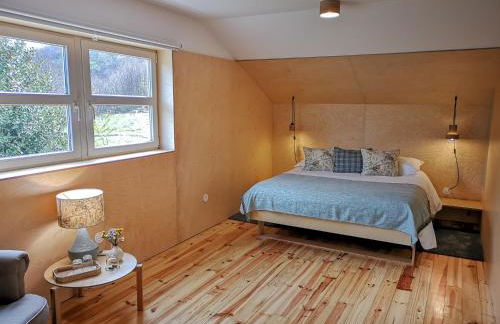 Solar da Castanha - Forest House - Foto 28