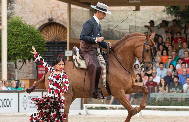 Spectacle équestre aux Écuries royales - Photo 15