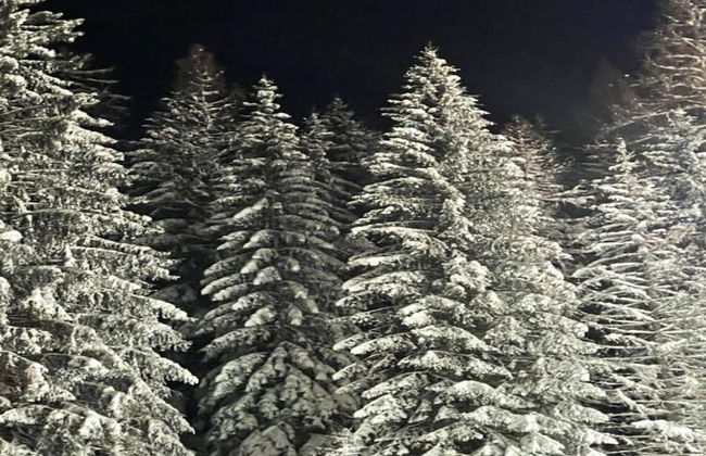 Lovely Apartment with Balcony in Willingen near Ski Lift - Photo 28