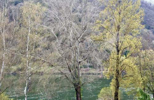 Ferienwohnung Moselblick - Foto 18
