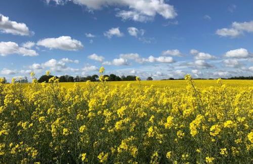 Sommerby Garden - Foto 18