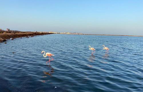 HELSINKI apartment - Foto 55