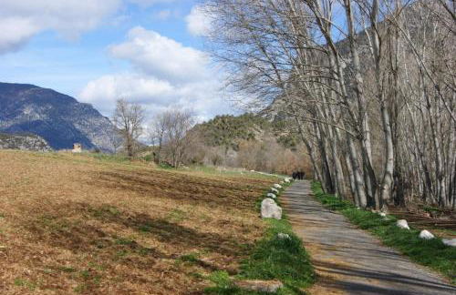 Cal Remolins - Photo 39