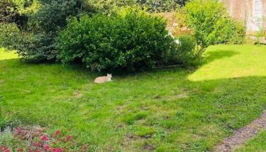 La Forêt Auvray - Maison de campagne - Foto 3