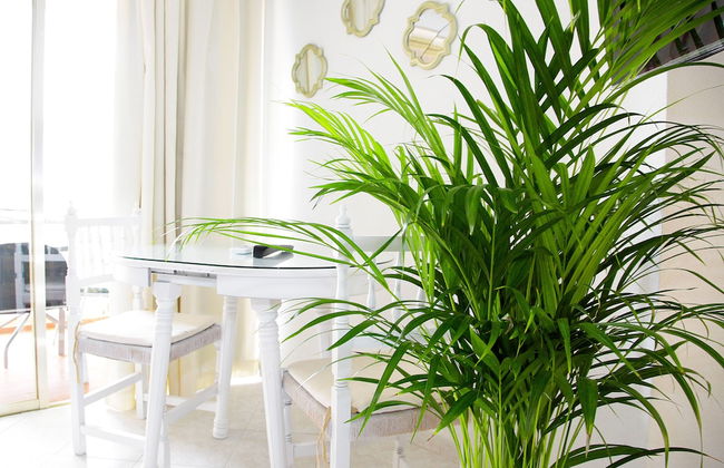 Apal Chinasol - Foto 21