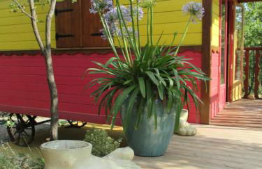 Le Mas du Fort - Foto 67