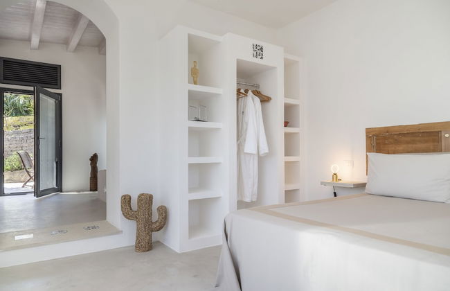 Tenuta Olive Alive - Foto 7