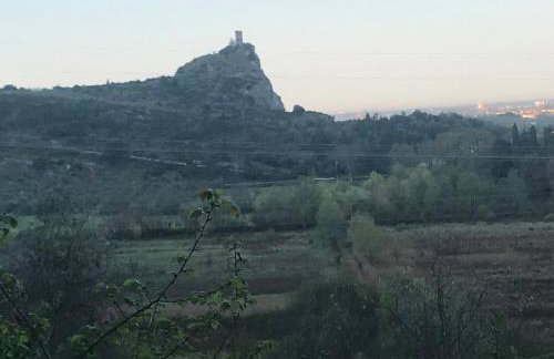 Calci - dal monte al mare - Foto 14