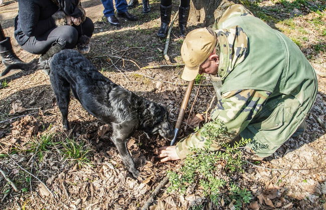 Agriturismo Bombina - Foto 62