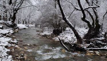 Dryades Guesthouse - Foto 3