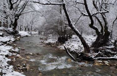 Dryades Guesthouse - Foto 3