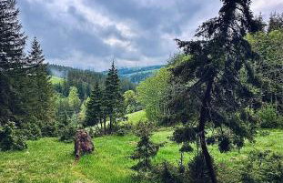 Atelier-Loft im Hübschental - Foto 31