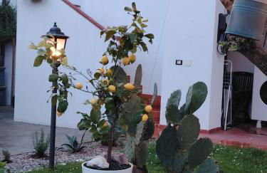 La Dolce Vita. Alloggio nel verde cuore del Friuli Venezia Giulia - Foto 9