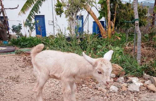 CASA RURAL MARY - Foto 61