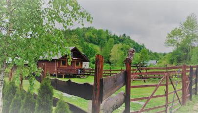 Gumisiówka - Photo 2