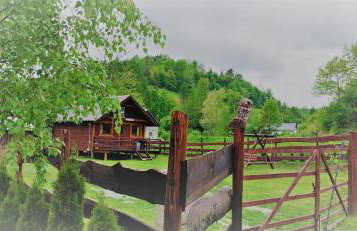 Gumisiówka - Foto 2