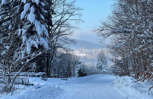 Apartament Kurort Kozubnik - Taras nad Potokiem - Foto 18