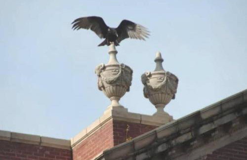 Renovated 1928 bungalow on a former asylum campus - Foto 35