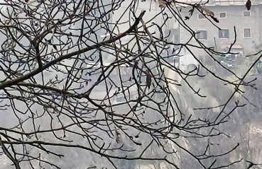 Dolci Vecchi Ricordi in Valpolicella - Foto 41