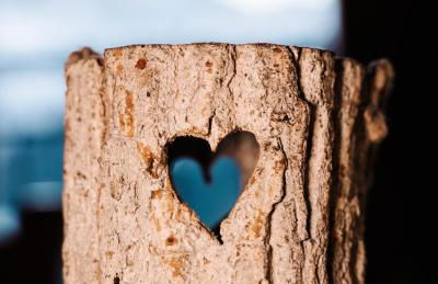 Agriturismo Belotti - Foto 54