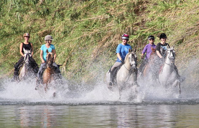 Molino de Saladilla - Photo 29