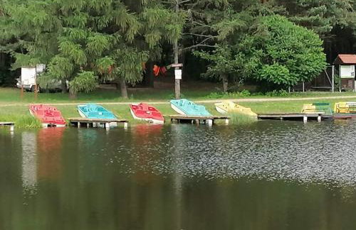 Domek Dobra - Foto 20