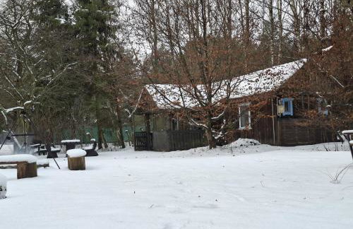 Dom Pod Brzozami Lipinki Bory Tucholskie basen - psy, koty mile widziane! - Photo 44