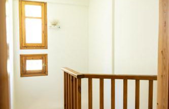 Strix Aluco Kalavryta - Foto 28