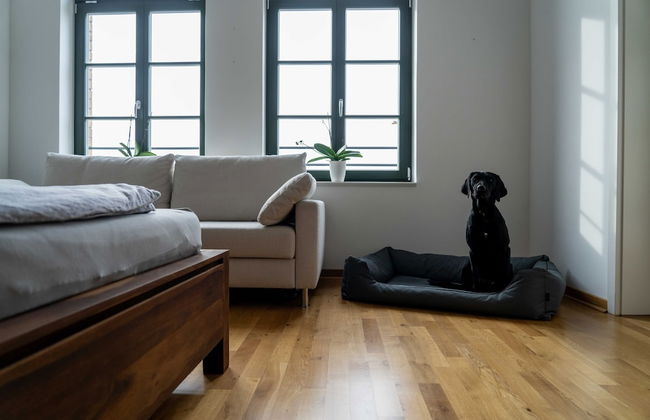 König Albert Residenz - Photo 7