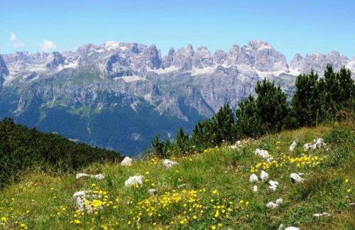 Casa Dalsass - Photo 30