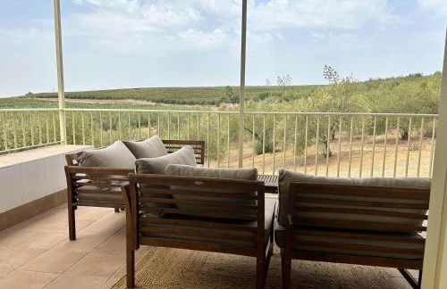 Casa Caraza. Un olivar con vistas al castillo de Juego de Tronos - Foto 5