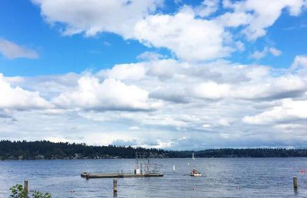 Vintage Charm 3BR Home w Yard Pets Welcome - Foto 34