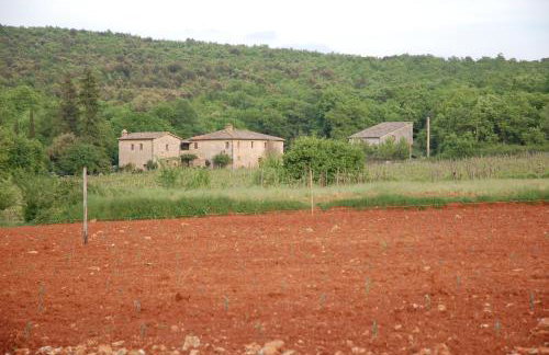 Agriturismo Novelleto - Foto 43