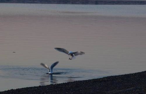 Judys Island Getaway179 - Foto 27