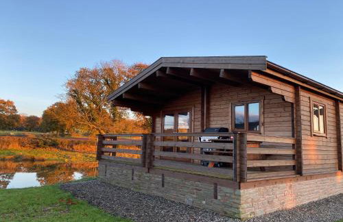 RedWood Lodge - Photo 5