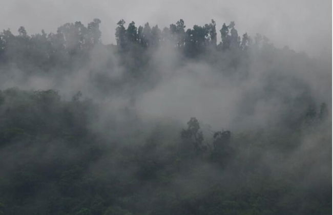 Country Ville - Foto 27