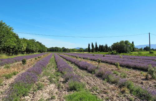 Holiday Home La Grive by Interhome - Foto 72