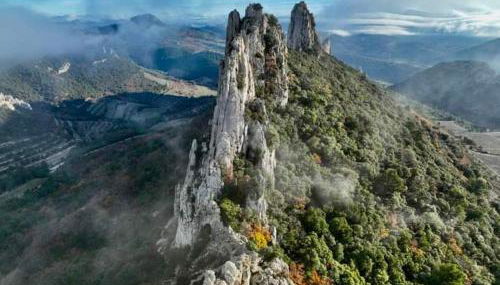 thym & Romarin - Photo 5