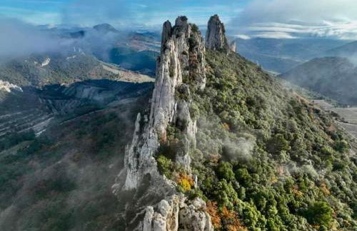 thym & Romarin - Photo 5