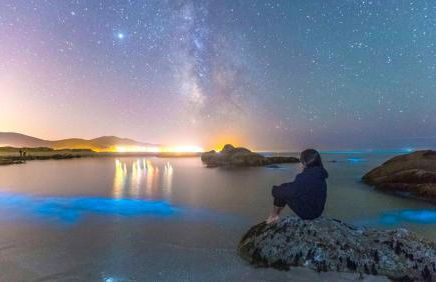 MARISMAS DO ANLLONS - Foto 25