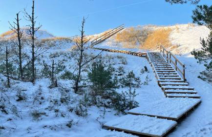 Morskie Domki Kopalino - Foto 20