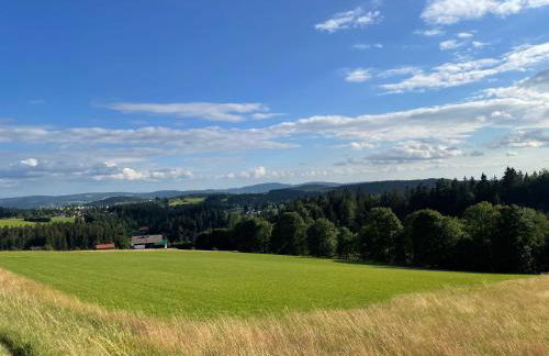 Große Ferienwohnung Hundertwasser am Dreisessel in Altreichenau - Foto 31