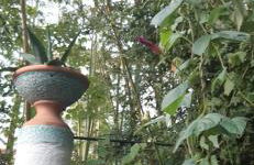 Maison et terrasse dans le jardin du Château de Gaillard - Foto 45