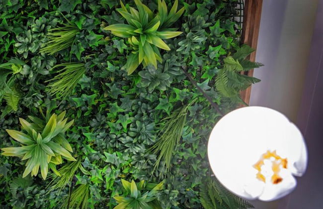 Molucano Themed Rooms - Photo 7