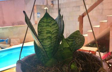 Villa Domenico - Foto 83