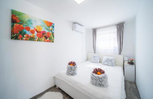 Leonardo House - Foto 43