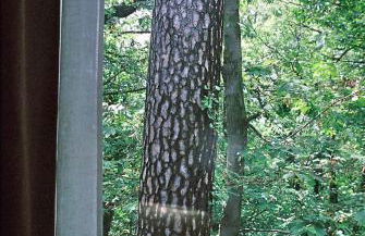 Varesello 20 - Foto 28