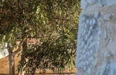 Anemoessa Stone House - Foto 60