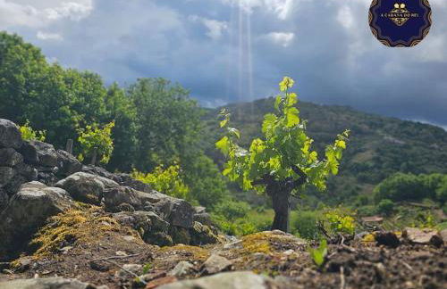 cabaña do rei - Foto 15